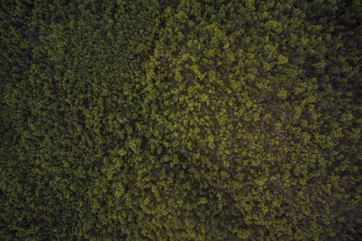 Explicabo dolore dolores animi impedit atque odit